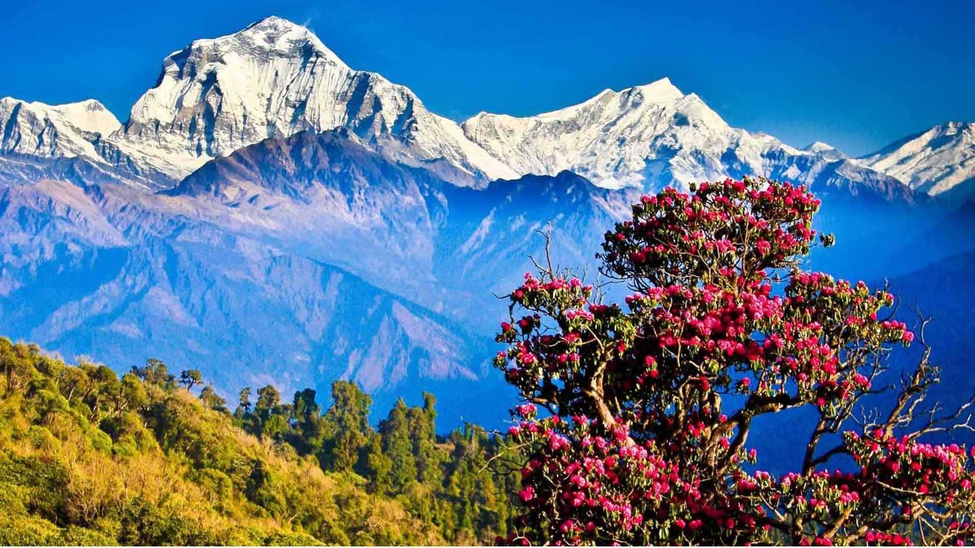 Nagarkot